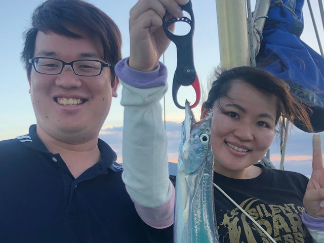 ��v�w_���Á@�]�Y�`�@�ɏ���