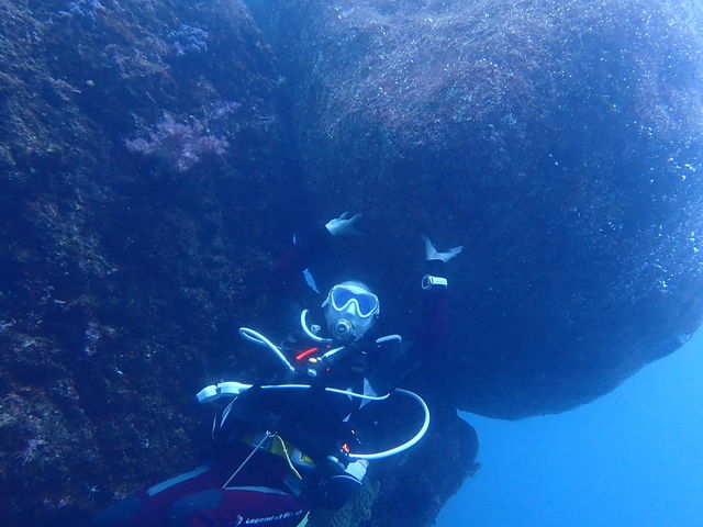 �_�C�r���O�N���u�C��