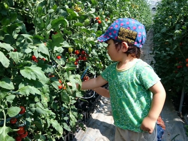 �X�J�C�t�@�[��