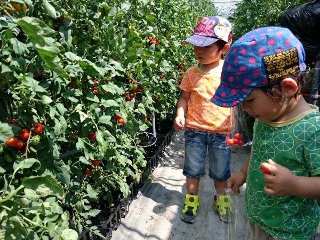 �X�J�C�t�@�[��