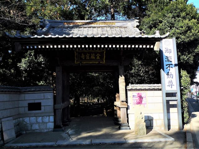 ���s����������