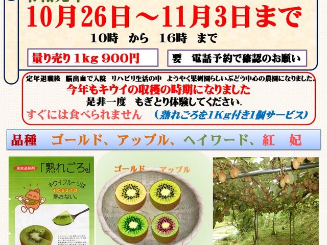 �L�E�C�̃`���V_�^�y��