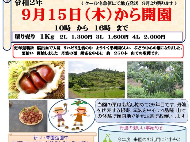 �I�E���̃`���V
_�^�y��