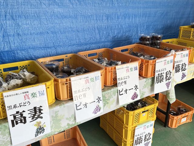 ���n�̌������ɁA�����w���������������ɁA����肵���V�N�ȏ��i�����p�ӂ��Ă���܂��I_�^�y��