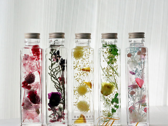 �t���[���@�f�@���E