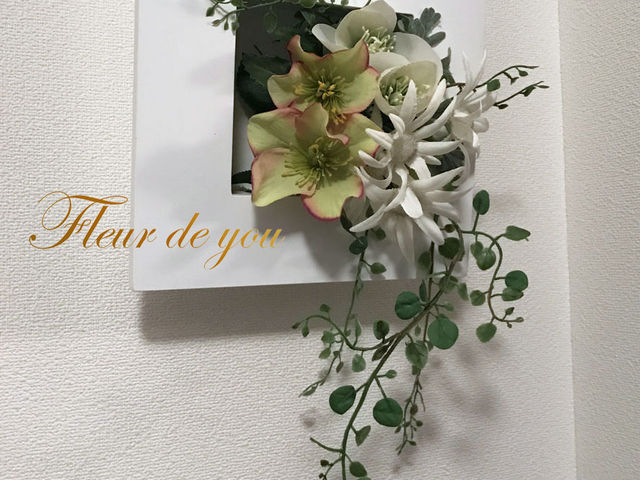 �t���[���@�f�@���E