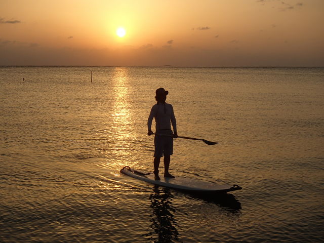 �T���Z�b�g�T�b�v_����v���f���[�X�@�J�}�_