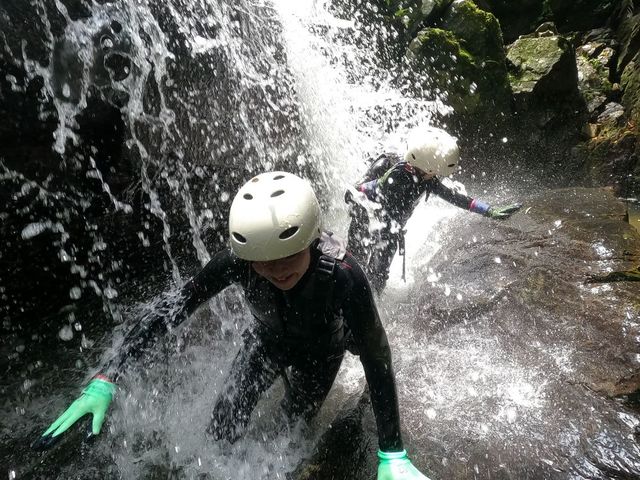 �W�����O���`���A�h�x���`���[_����v���f���[�X�@�J�}�_