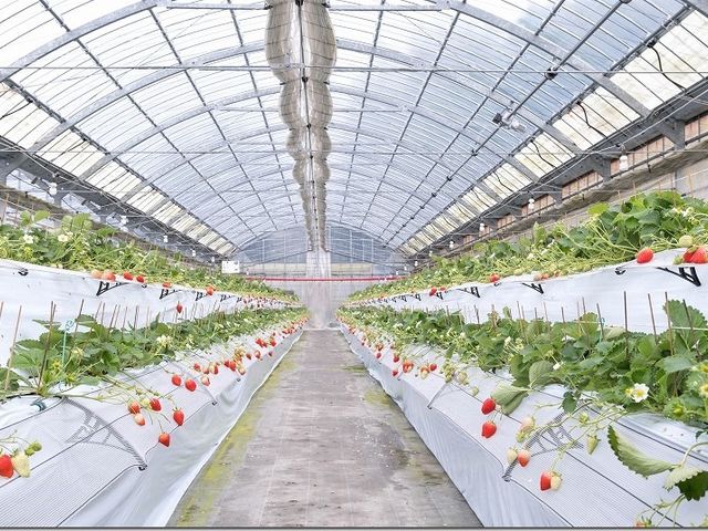 �ԗ��R�t�@�[��