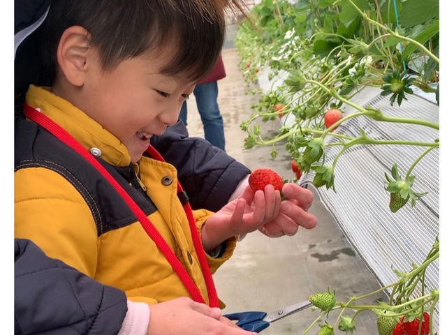 �ԗ��R�t�@�[��