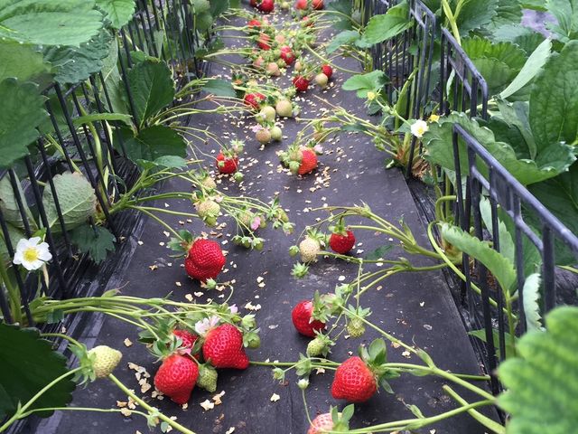 ���q�l���E�ݎ��₷���悤�ɂ�������^�񒆂ɏW�߂Ă���܂���_�����@��{�_��