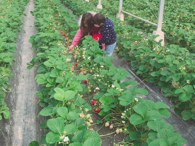 �n�E�X�͂Ƃ��Ă��L���̂ł����Ȍ`�̂������ɏo��邩����_�����@��{�_��