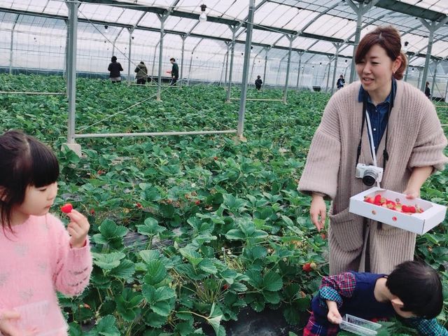 ���������ς��ɂȂ�܂ł��y���݂��������I_�����@��{�_��