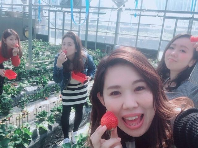 �C���X�^�f�����_�����Ⴄ�����I�H_�����@��{�_��