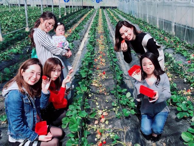 �F�l�̂������S��肨�҂����Ă���܂��B_�����@��{�_��