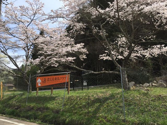 �i�a�k�L����n�N���u