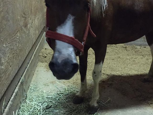 �i�a�k�L����n�N���u