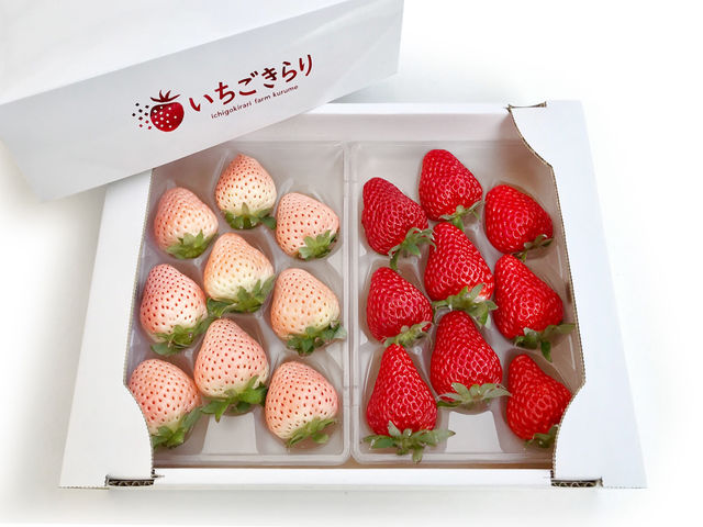 �������̃M�t�g���̔����Ă���܂�_�����������