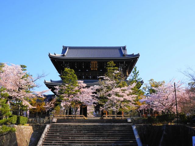 �����������̍�
�k���V��_�agan