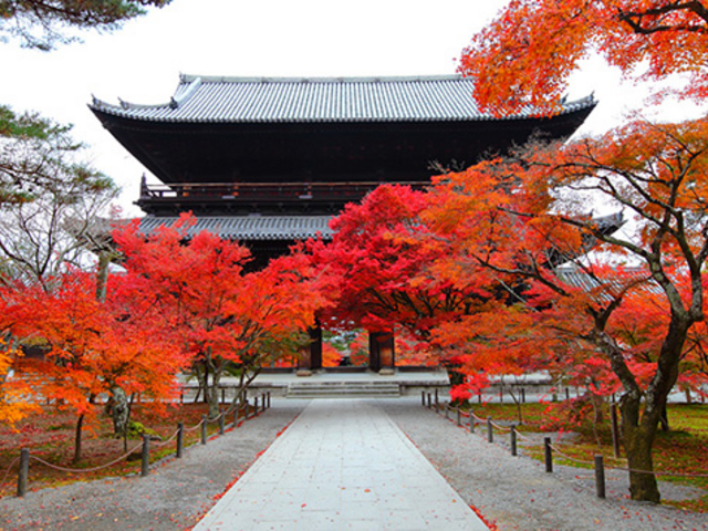 ��T���@�k��15��_�agan