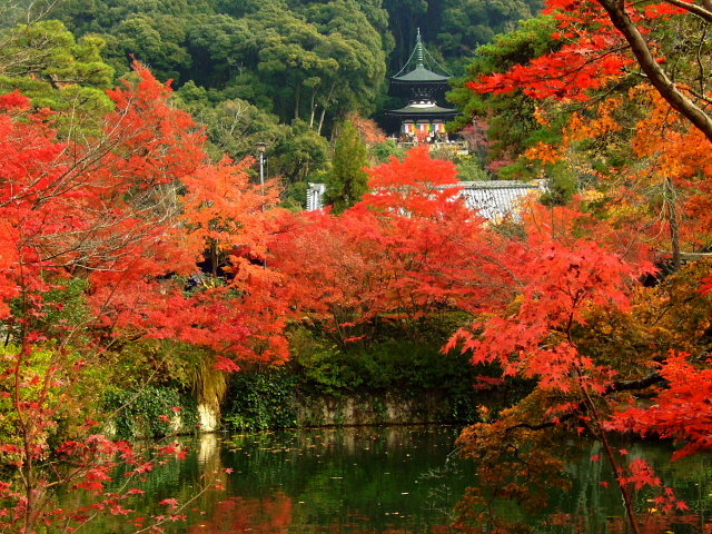 �i�ϓ�
3000�{�̍g�t�������𖄂߂�_�agan