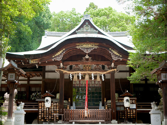 ����_�Ё@�k���V��
���������V���{���̈��Y�A�q��_��_�agan