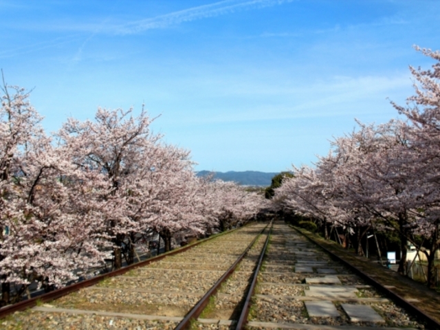 �R�グ�C���N���C��
����������������H��_�agan