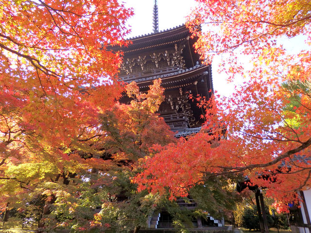 �^�@���@�k��15��_�agan