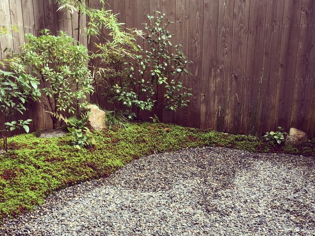 �G�G����ǂ��ȁ`_�agan