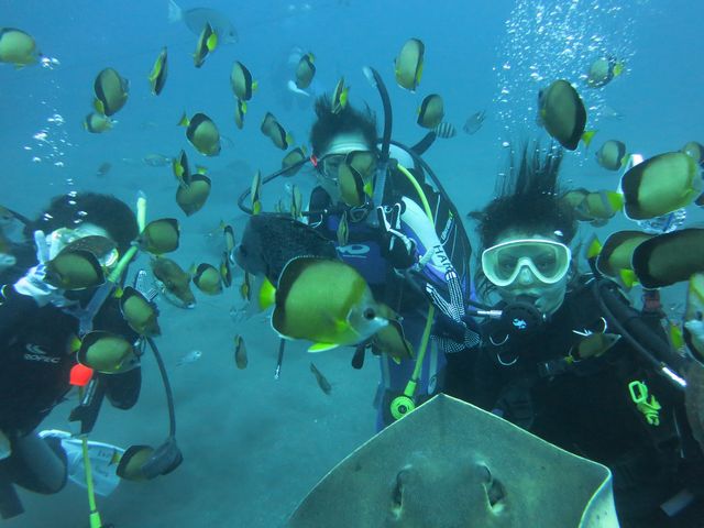 �_�C�r���O�V���b�vKIAORA