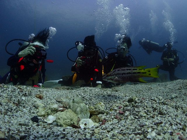 �_�C�r���O�V���b�vKIAORA