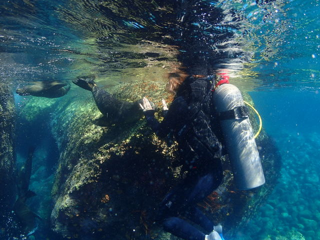 �_�C�r���O�V���b�vKIAORA