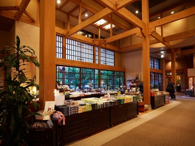 ���X�ɂ́A���z�@�炵�����y�Y�𑽐����p�ӂ������Ă���܂��B_�����Ɩ����̏h�@�~��