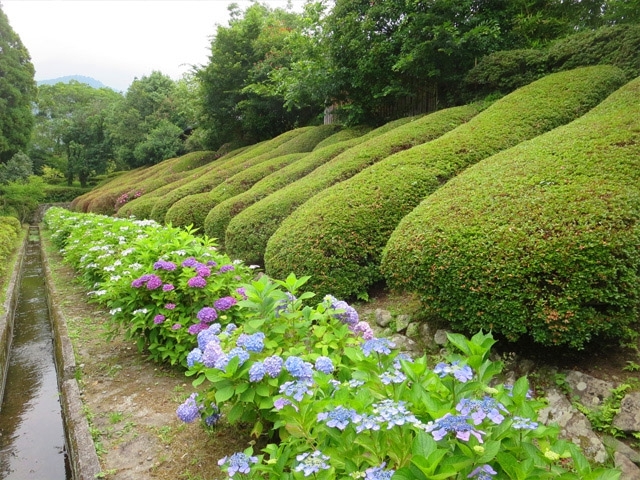 �G�߂��Ƃɍ炫�ւ�ԁX���y���߂܂��B_�����Ɩ����̏h�@�~��