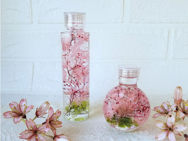 �����̃n�[�o���E��_�|�[�Z���[�c�T����moana