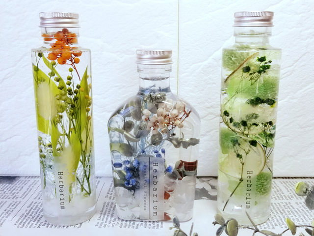 ���O���[���n�[�o���E��_�|�[�Z���[�c�T����moana