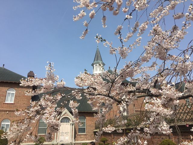 �g���s�X�`�k�C���@_�����ό��^�N�V�[