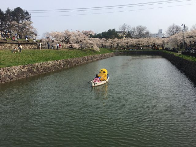 �ܗŊs����_�����ό��^�N�V�[