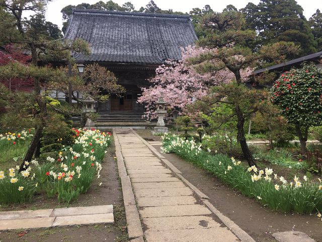 ���O����_�����ό��^�N�V�[