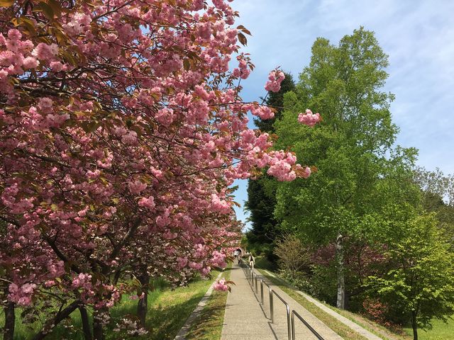 �j�q�g���s�X�g�C���@_�����ό��^�N�V�[