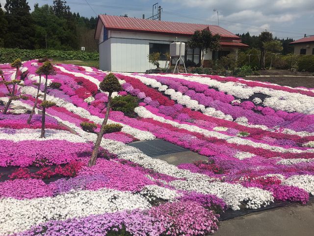 �،Ó����啽�C��_�����ό��^�N�V�[