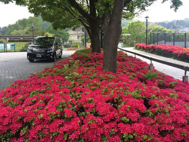 ��������_�����ό��^�N�V�[