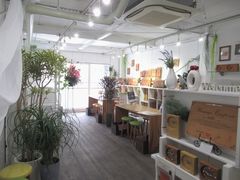 木の暮らし大阪店の写真1