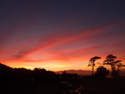 yVE܂E_CrOT[rX̎ʐ^4