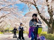 ZOEFCVeBKChcA[΂̎ʐ^2