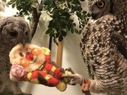 ӂ낤̂XJtFÉhX̎ʐ^2