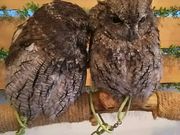 ӂ낤̂XJtFÉhX̎ʐ^3