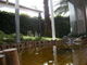 ホテルカアナパリの写真2