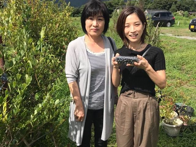 オリジナルJamづくりに持ち帰りもできます。
_蒜山高原カルチベート観光ブルーベリー園