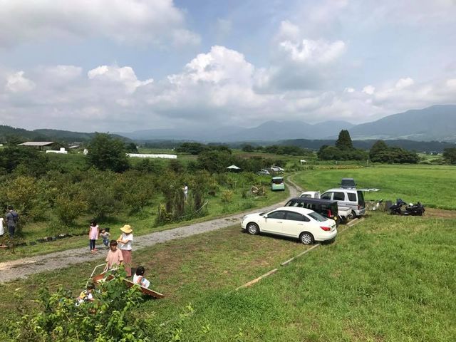 駐車場もOK._蒜山高原カルチベート観光ブルーベリー園